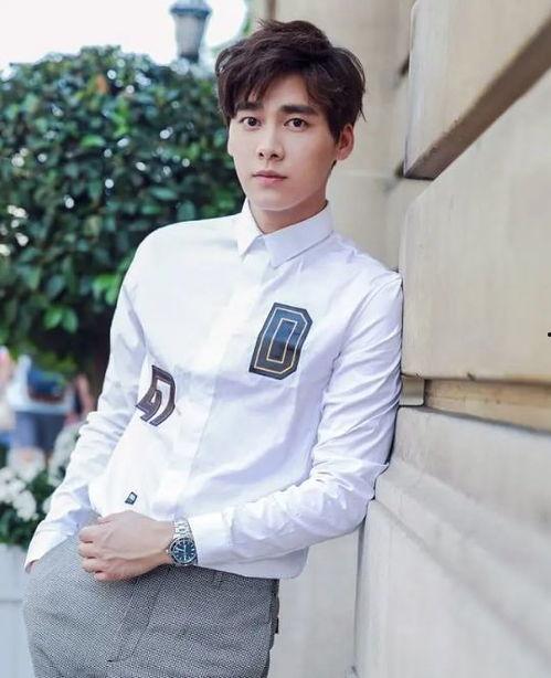 李易峰最新爆料官方,揭秘演艺圈幕后故事